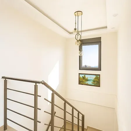 Assos Suits 1 * באלאק