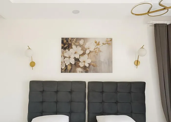 Assos Suits 1 באלאק